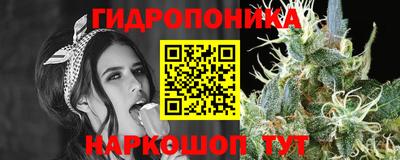 прущие крисы Конаково