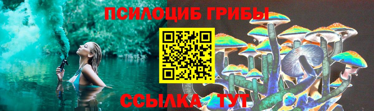 Кимовск  Псилоцибиновые грибы мицелий  Вход с VPN 